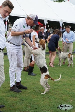 Hounds of Middleburg Hunt entertain the crowds at NSLM Polo Classic, 2022