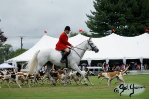 Hounds of Middleburg Hunt entertain the crowds at NSLM Polo Classic, 2022