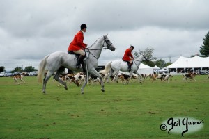 Hounds of Middleburg Hunt entertain the crowds at NSLM Polo Classic, 2022