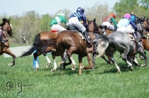 Middleburg Sping Races 2024