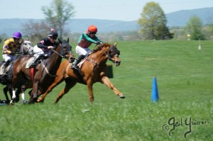 Middleburg Sping Races 2024