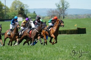 Middleburg Sping Races 2024