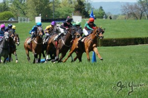 Middleburg Sping Races 2024