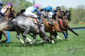 Middleburg Sping Races 2024