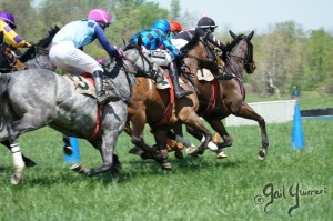 Middleburg Sping Races 2024