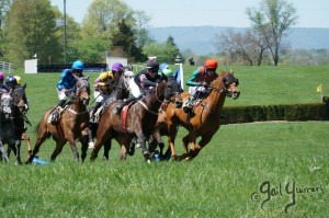 Middleburg Sping Races 2024