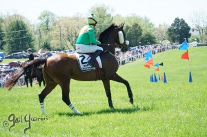 Middleburg Sping Races 2024