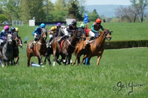 Middleburg Sping Races 2024