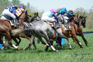 Middleburg Sping Races 2024