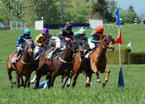 Middleburg Sping Races 2024