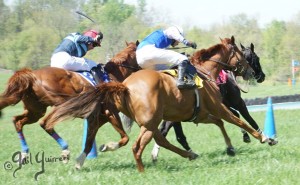 Middleburg Sping Races 2024