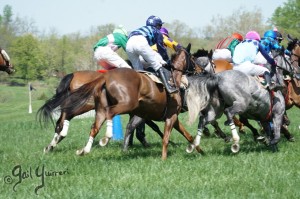 Middleburg Sping Races 2024