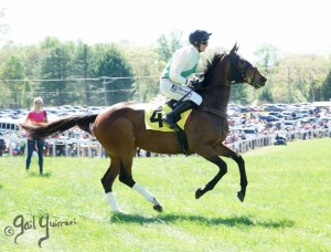 Middleburg Sping Races 2024