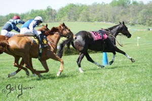 Middleburg Sping Races 2024