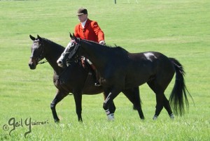 Middleburg Sping Races 2024