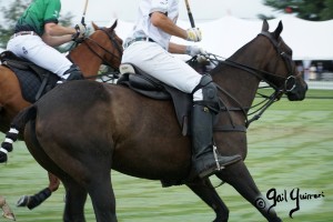 NSLM Founders Cup Polo, Great Meadow September 2022