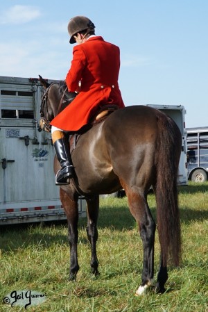 Orange County Hounds, Byrnley November 2023