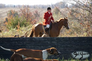 Orange County Hounds, Byrnley November 2023