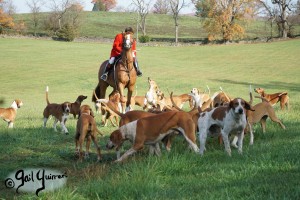 Orange County Hounds, Byrnley November 2023