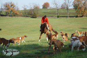 Orange County Hounds, Byrnley November 2023