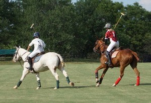 Polo with Shannon Elaine Casey and friends