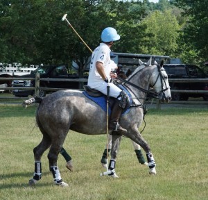 Polo with Shannon Elaine Casey and friends