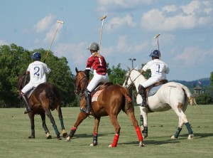 Polo with Shannon Elaine Casey and friends