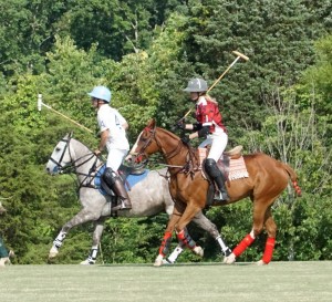 Polo with Shannon Elaine Casey and friends