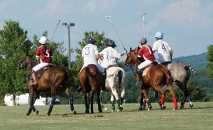 Polo with Shannon Elaine Casey and friends