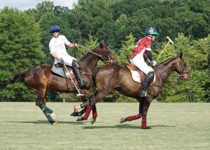 Polo with Shannon Elaine Casey and friends