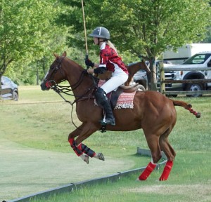 Polo with Shannon Elaine Casey and friends