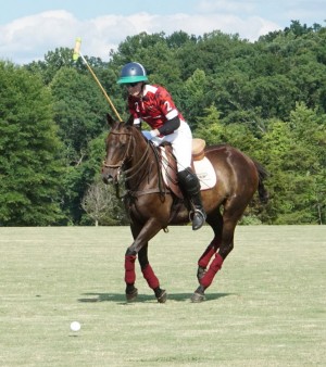 Polo with Shannon Elaine Casey and friends