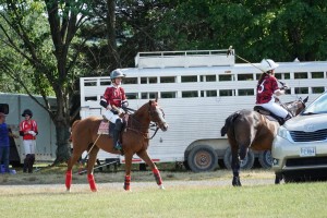 Polo with Shannon Elaine Casey and friends