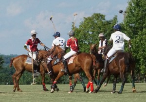 Polo with Shannon Elaine Casey and friends