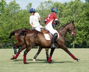 Polo with Shannon Elaine Casey and friends