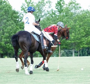 Polo with Shannon Elaine Casey and friends