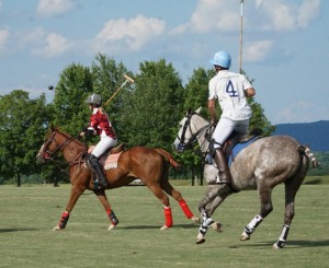 Polo with Shannon Elaine Casey and friends