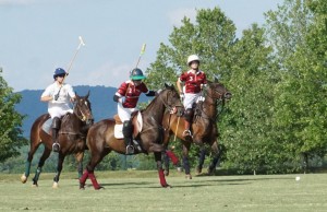 Polo with Shannon Elaine Casey and friends