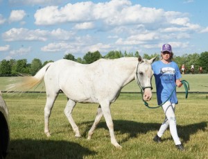 Polo with Shannon Elaine Casey and friends