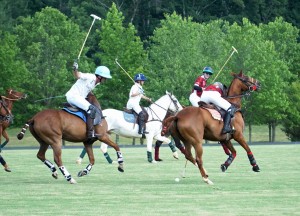 Polo with Shannon Elaine Casey and friends