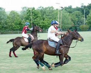 Polo with Shannon Elaine Casey and friends