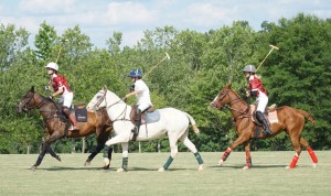 Polo with Shannon Elaine Casey and friends