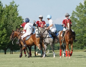 Polo with Shannon Elaine Casey and friends