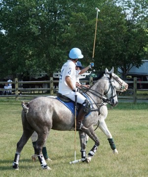 Polo with Shannon Elaine Casey and friends