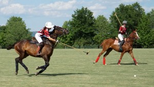 Polo with Shannon Elaine Casey and friends