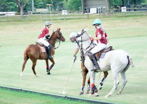 Polo with Shannon Elaine Casey and friends