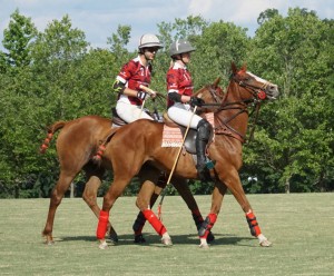 Polo with Shannon Elaine Casey and friends