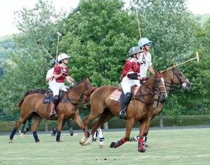 Polo with Shannon Elaine Casey and friends