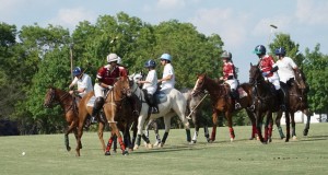 Polo with Shannon Elaine Casey and friends