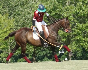 Polo with Shannon Elaine Casey and friends